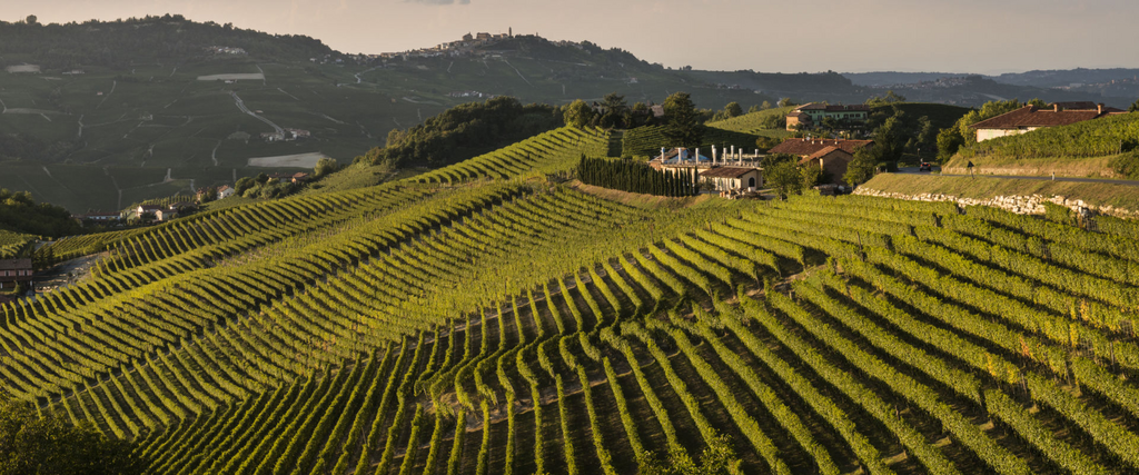 Alba italy tourism through land, time and quiet continuity